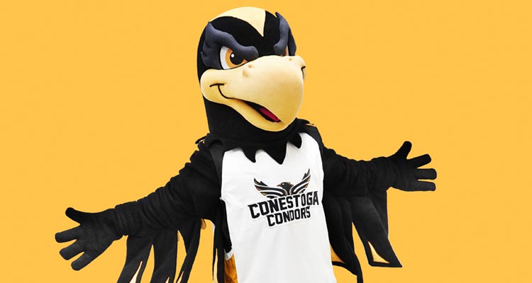 Condor Icon