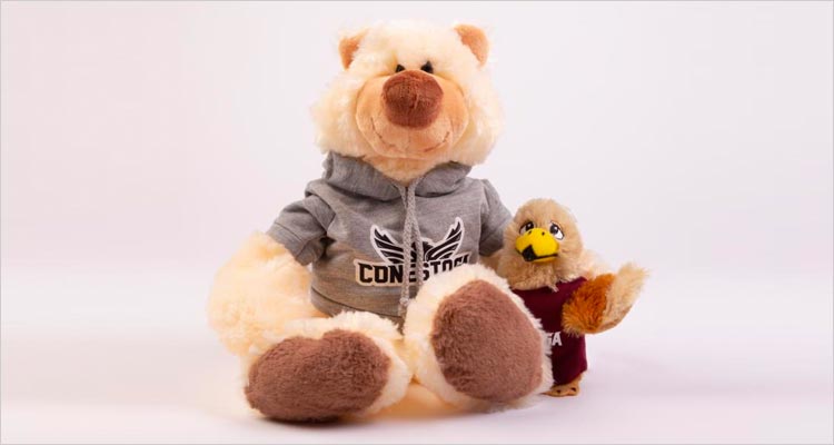 Picture of plush
