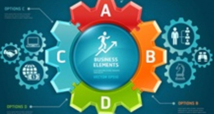 Pathways to success